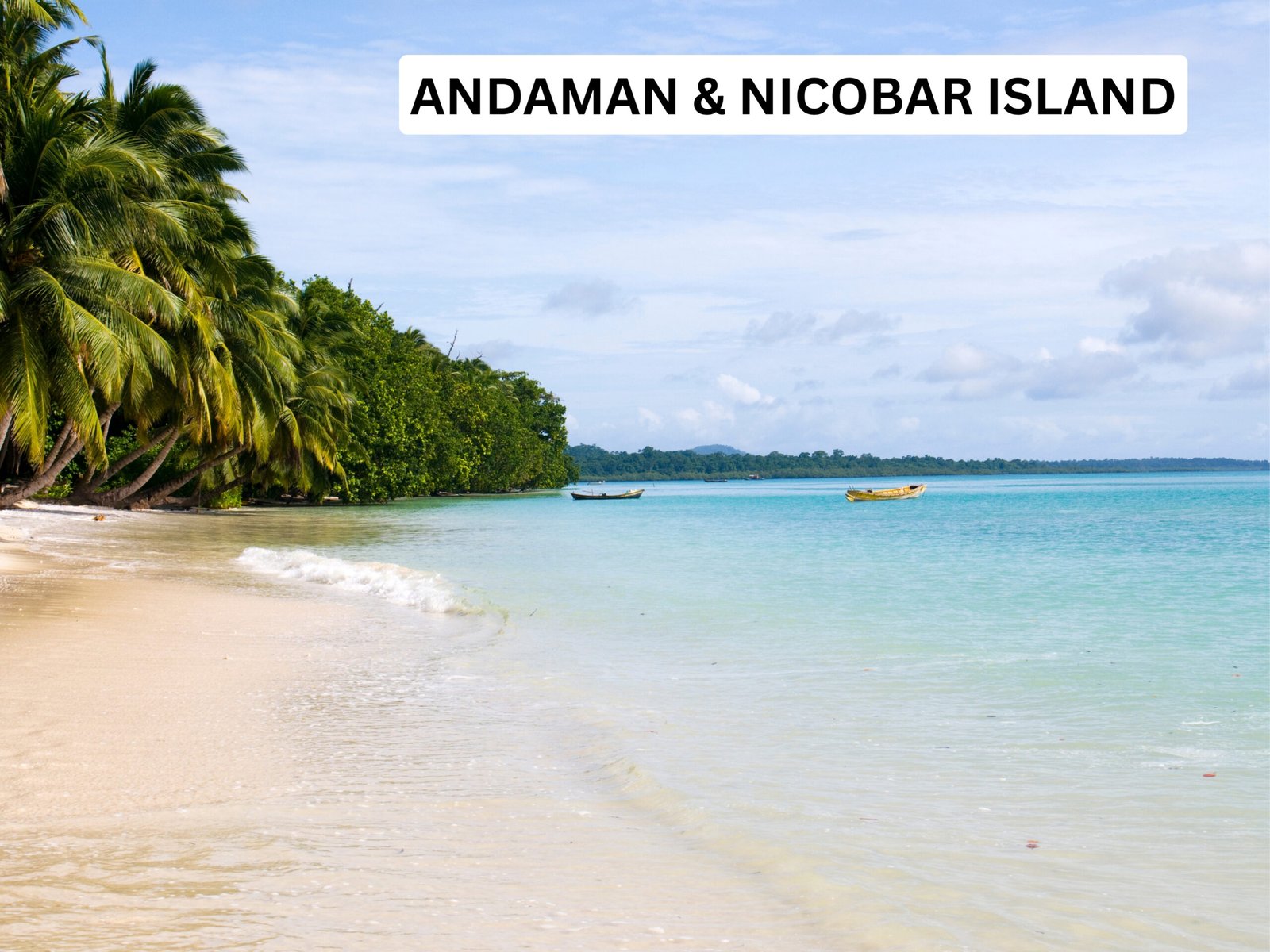 Andaman & Nicobar